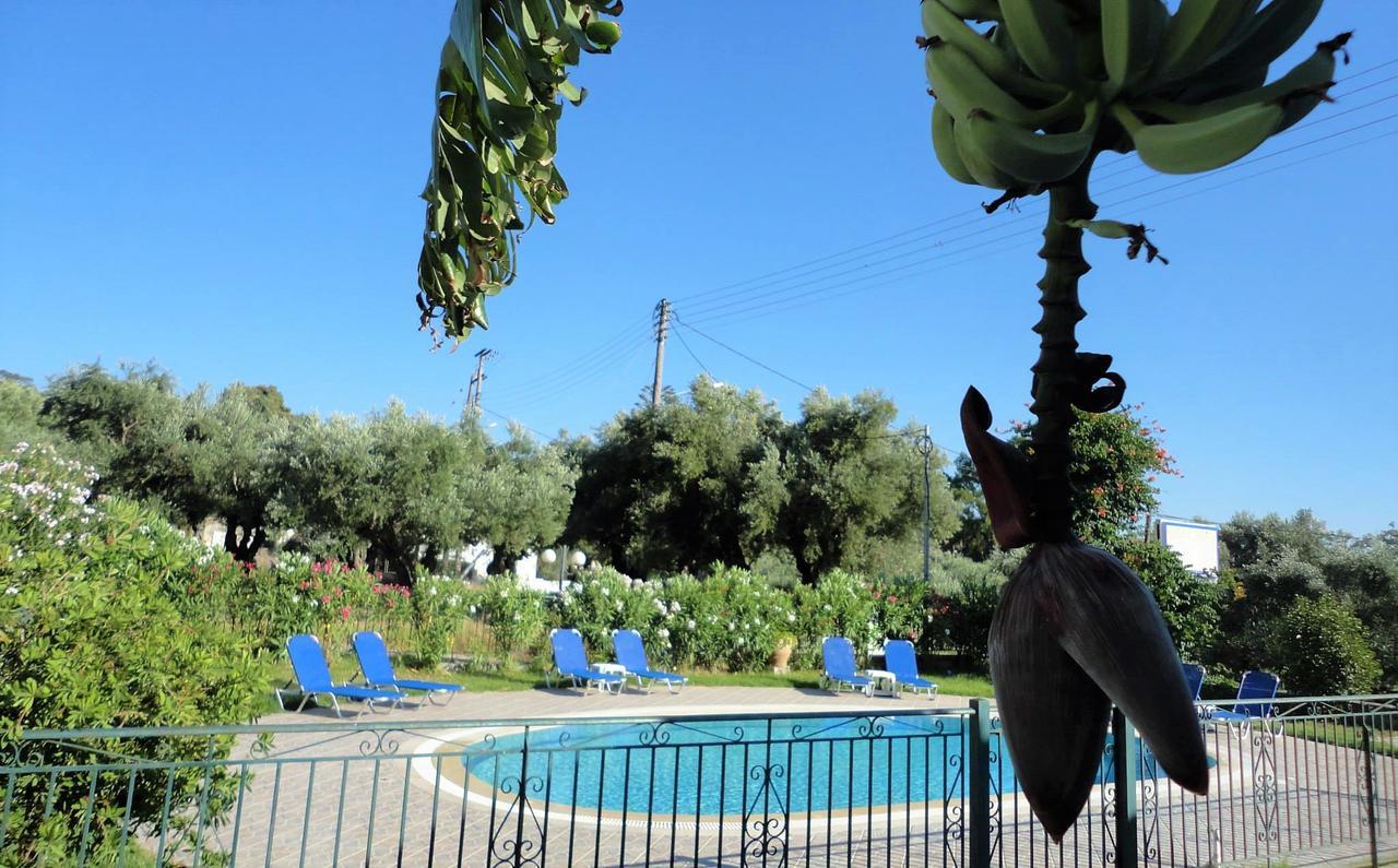 Tonia Apartments Zakynthos Exteriér fotografie